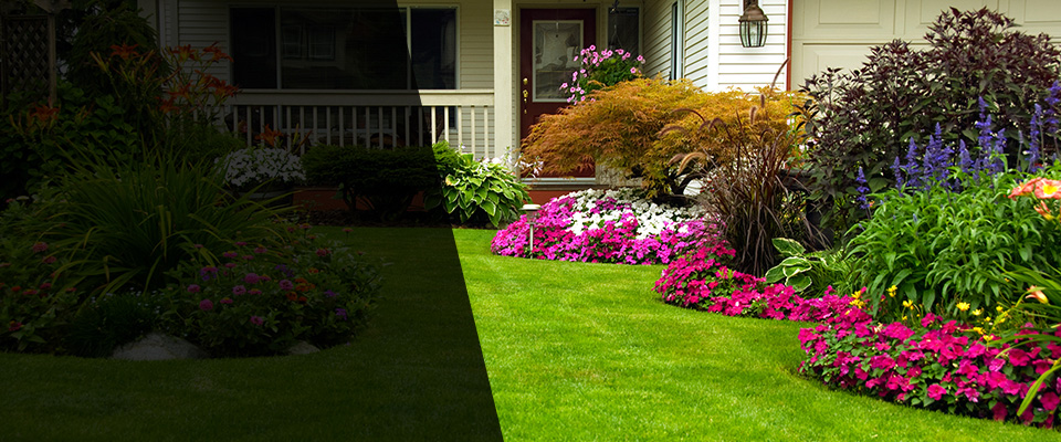 Orinda Landscapers