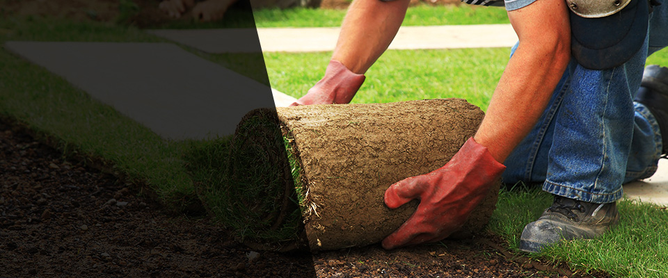 Orinda Landscapers